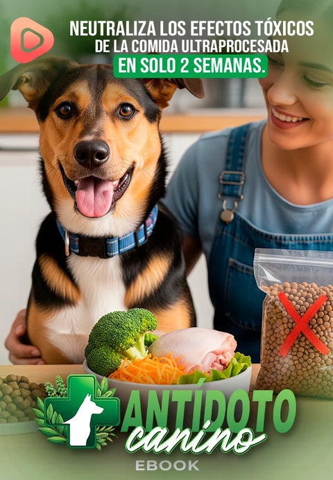 Antídoto canino
