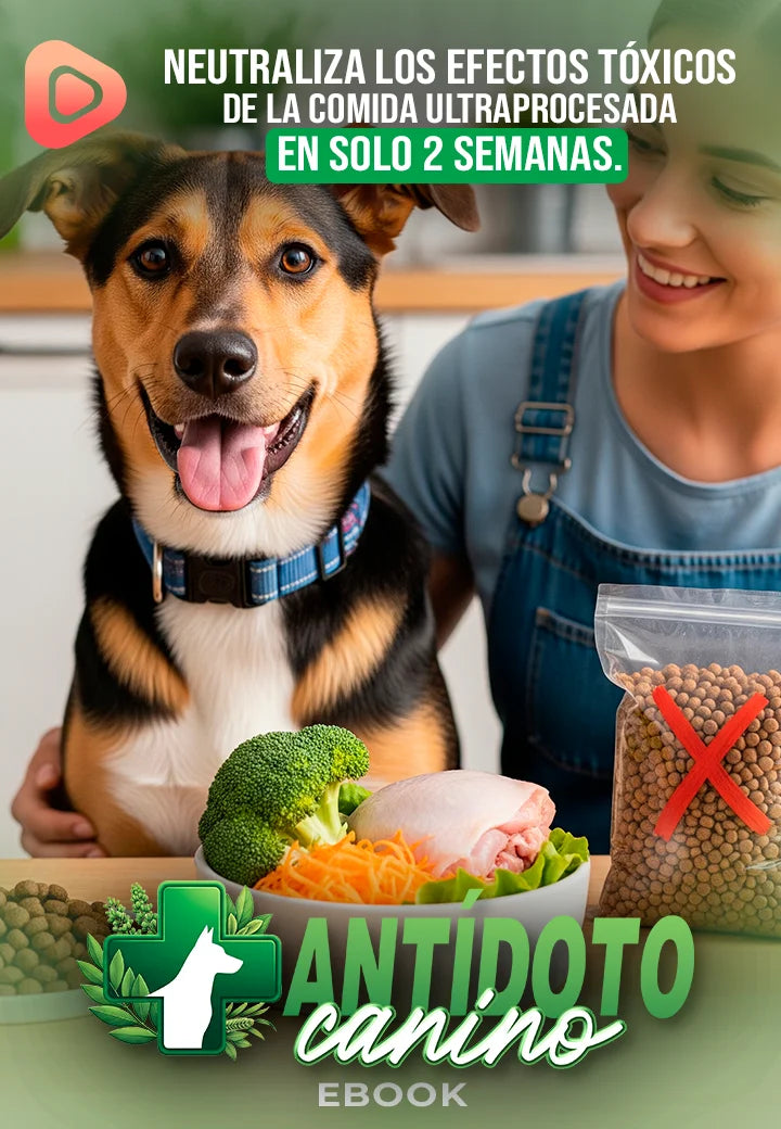 Antídoto canino