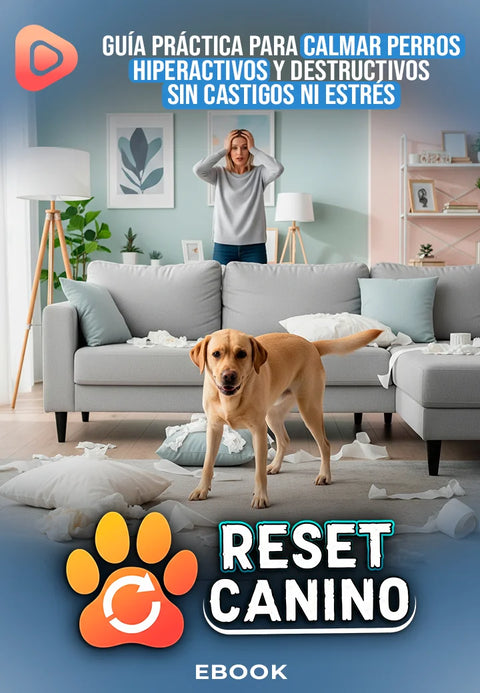 Reset canino
