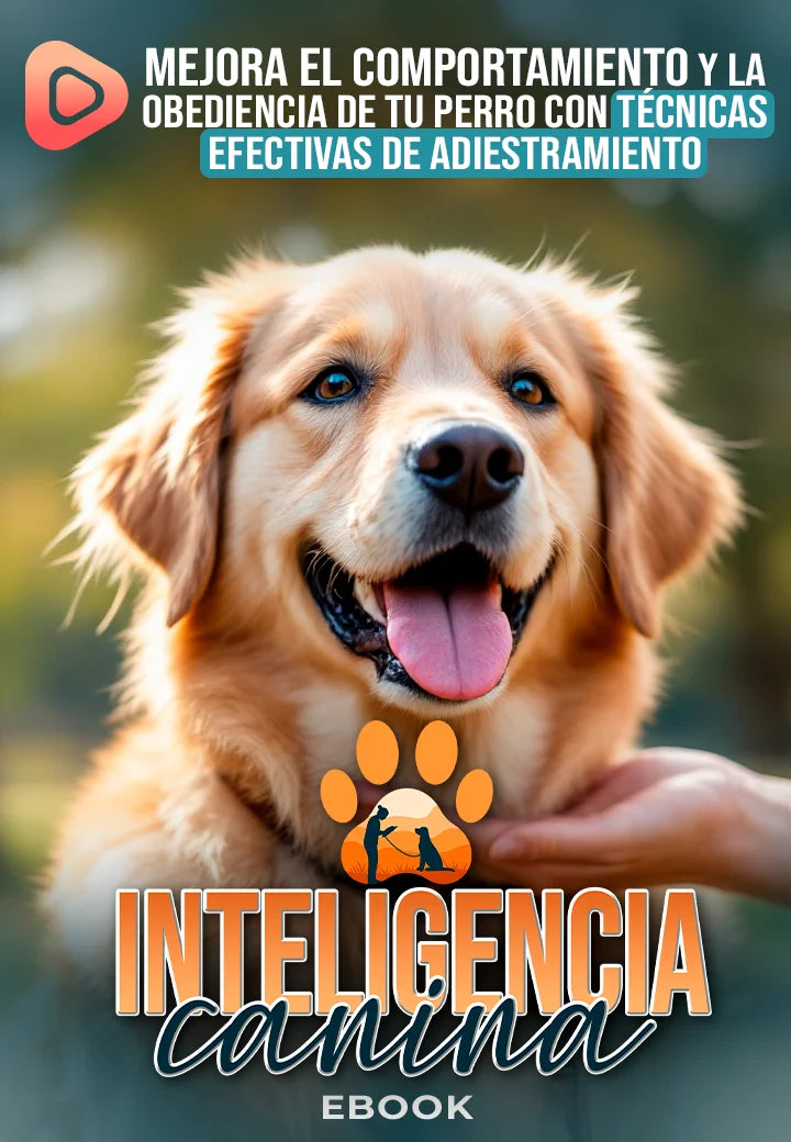 Inteligencia canina