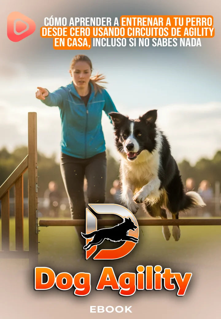 Dog Agility